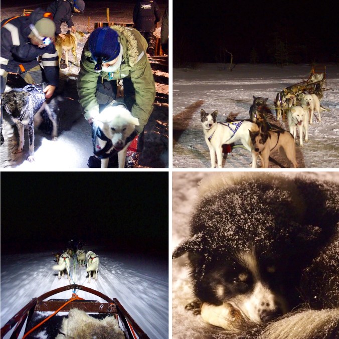 Copyright: Janina Graf